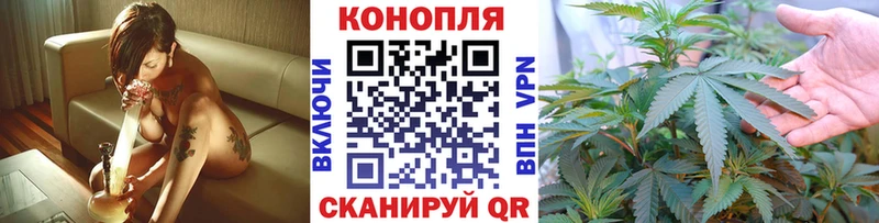 Купить  Анжеро-Судженск  Марихуана план 